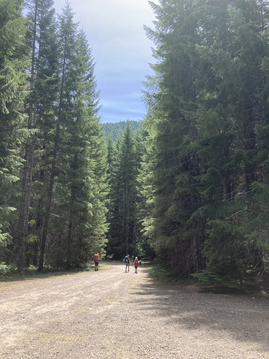 Elk Lake Creek Trailhead — we saw a juvenile bear here on our way out