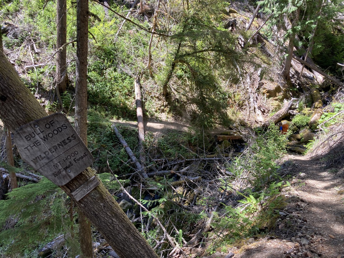Bull of the Woods Wilderness trailhead sign — a harbinger of the state of maintenance of these trails