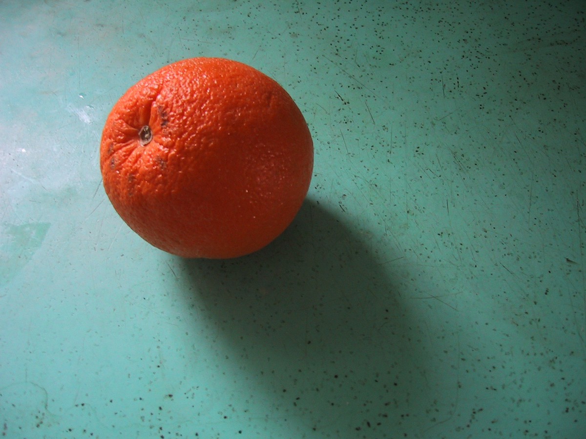 Closeup of an orange