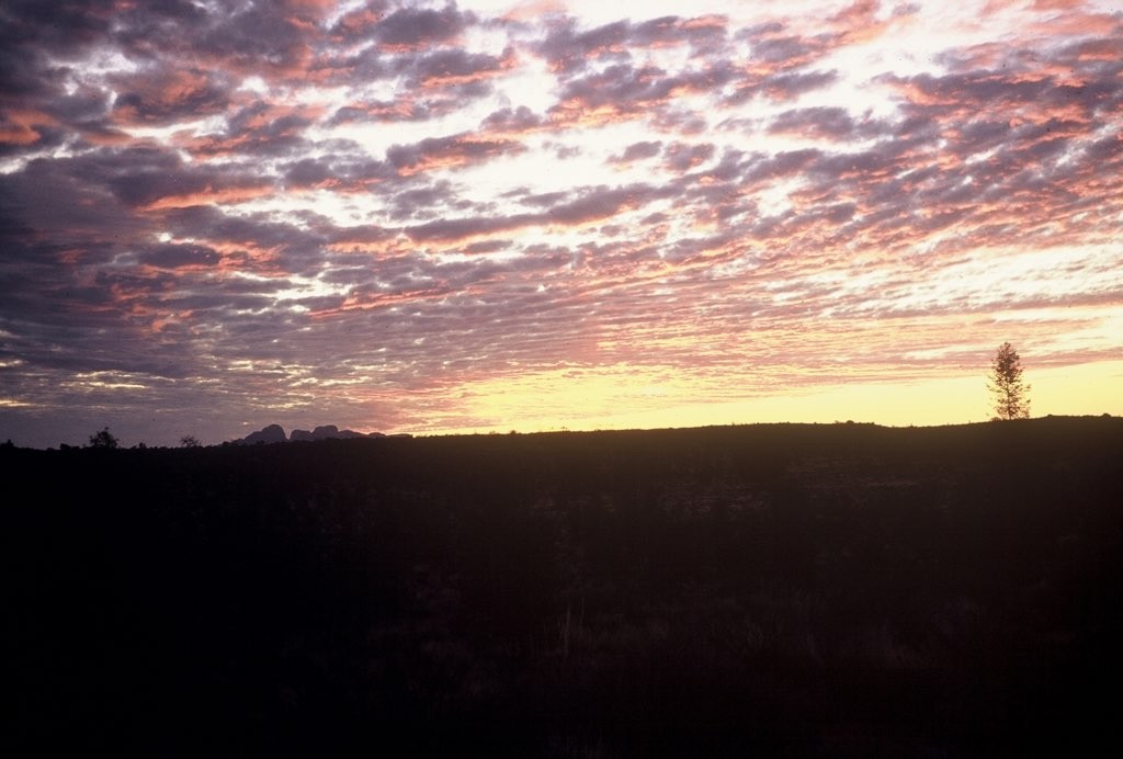 Scan of a Kodachrome slide of the Australian desert, taken probably 1969. A clump of rocks or boulders are silhouetted on the horizon against a yellow sky full of small clouds