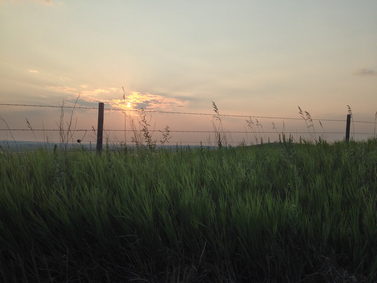 Low perspective of tall prairie grass and a barbed-wire fence, silhouetted against a hazy humid Nebraska sunset