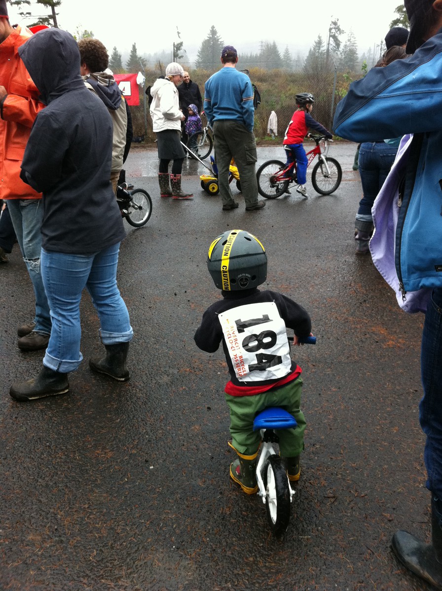 Orion, number 184, 2010