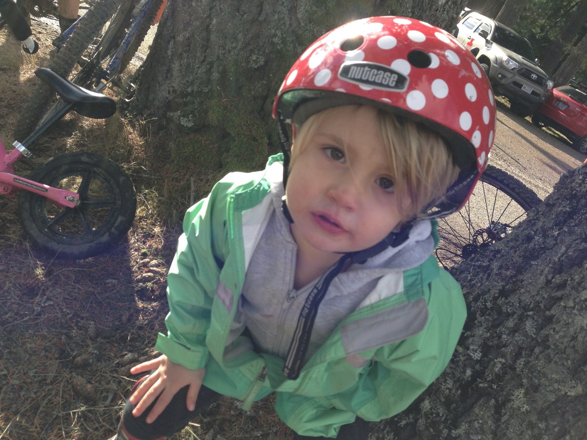 Iris at Barton, 2013