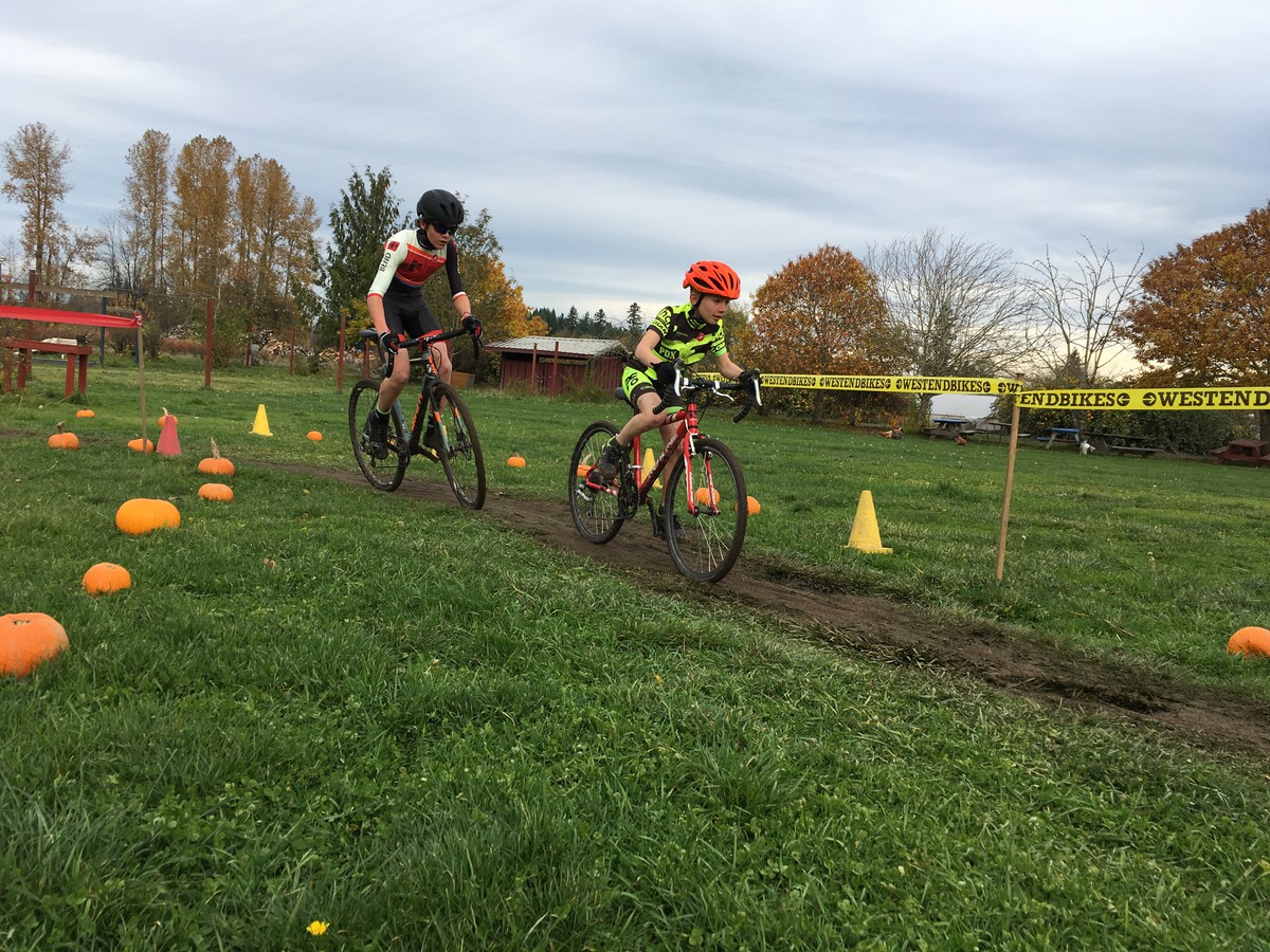 2017: Orion in the pumpkin patch