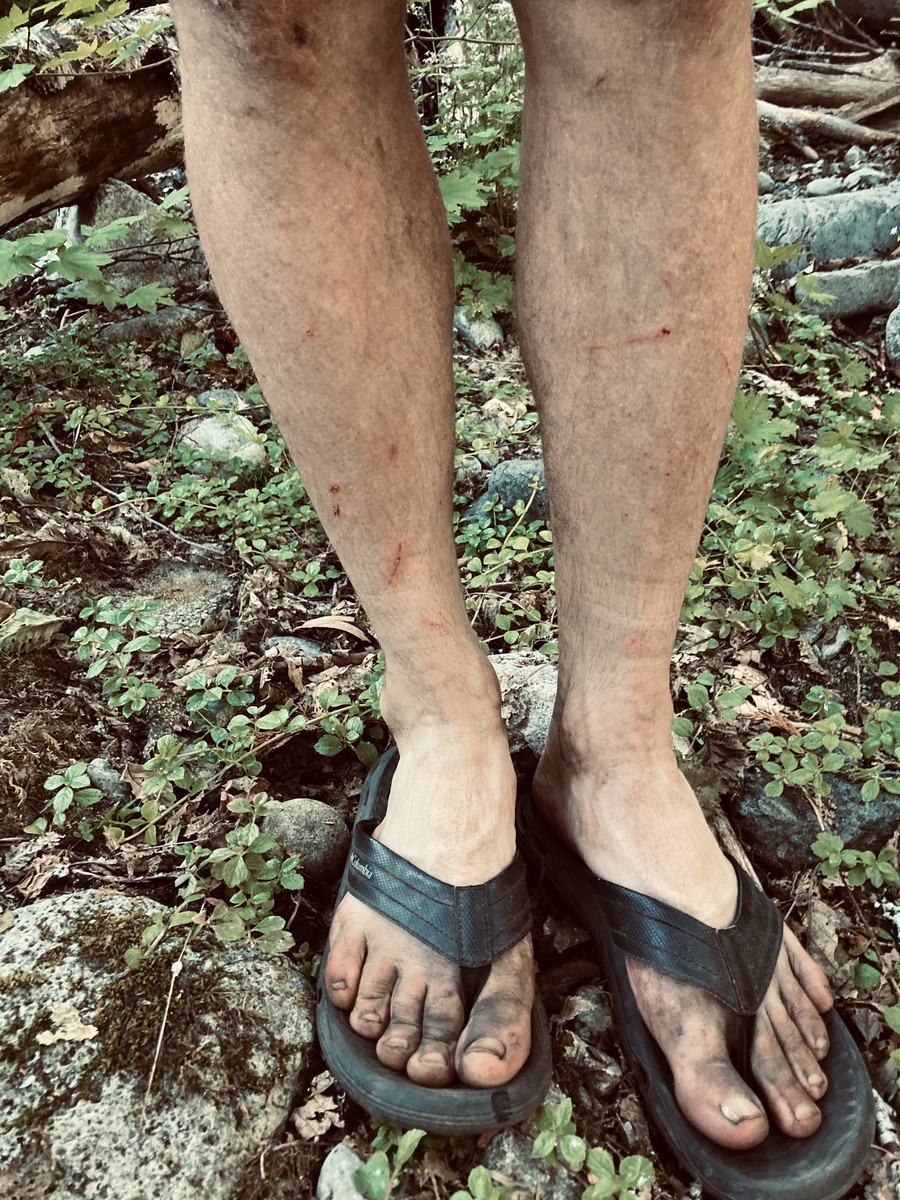 That second day on Mother Lode trail was like this