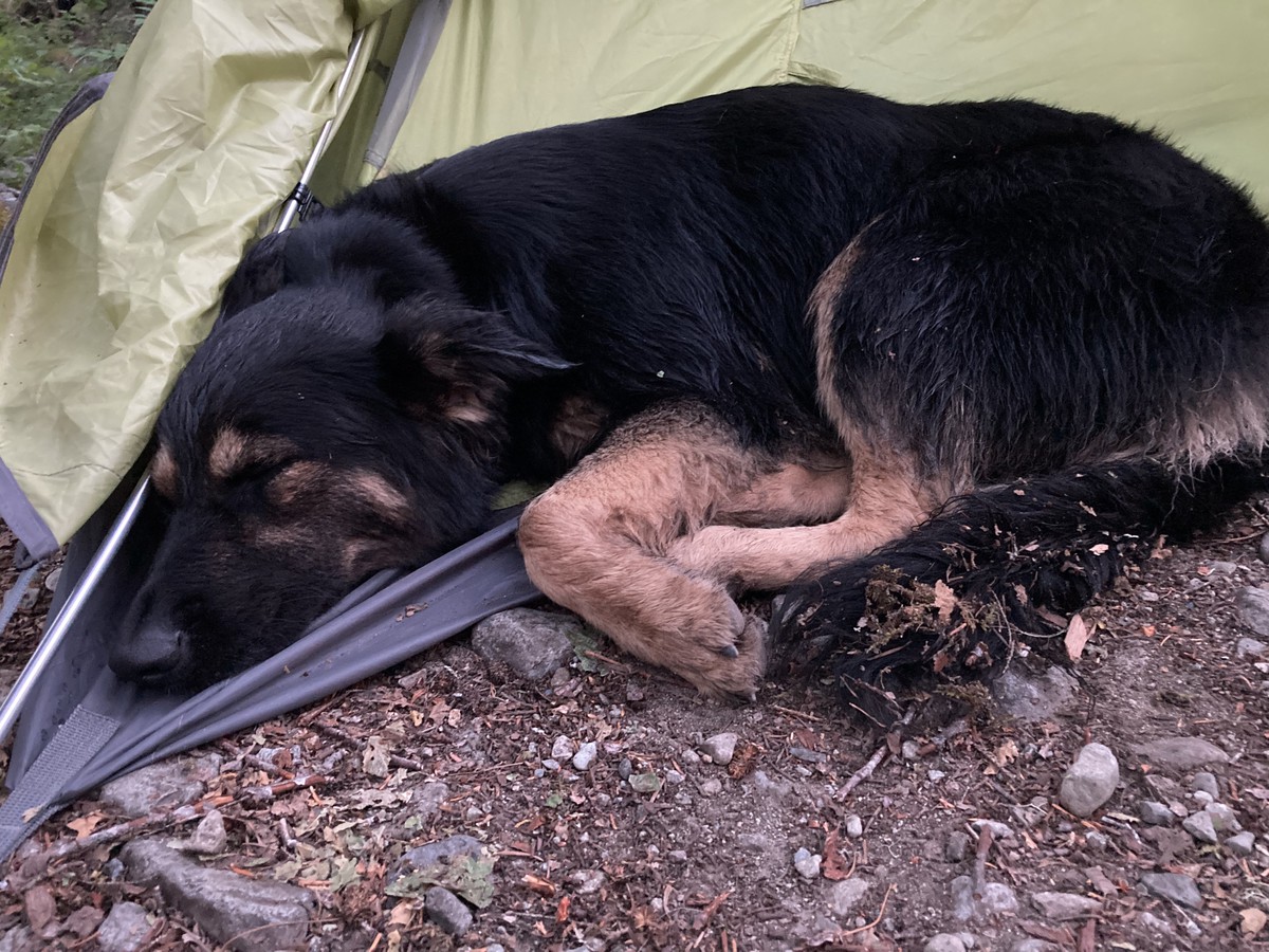 …and also like this