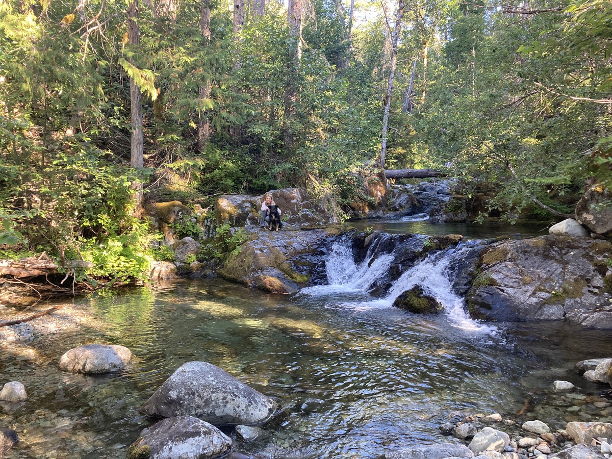 Mother Lode Creek near the confluence with Battle Creek