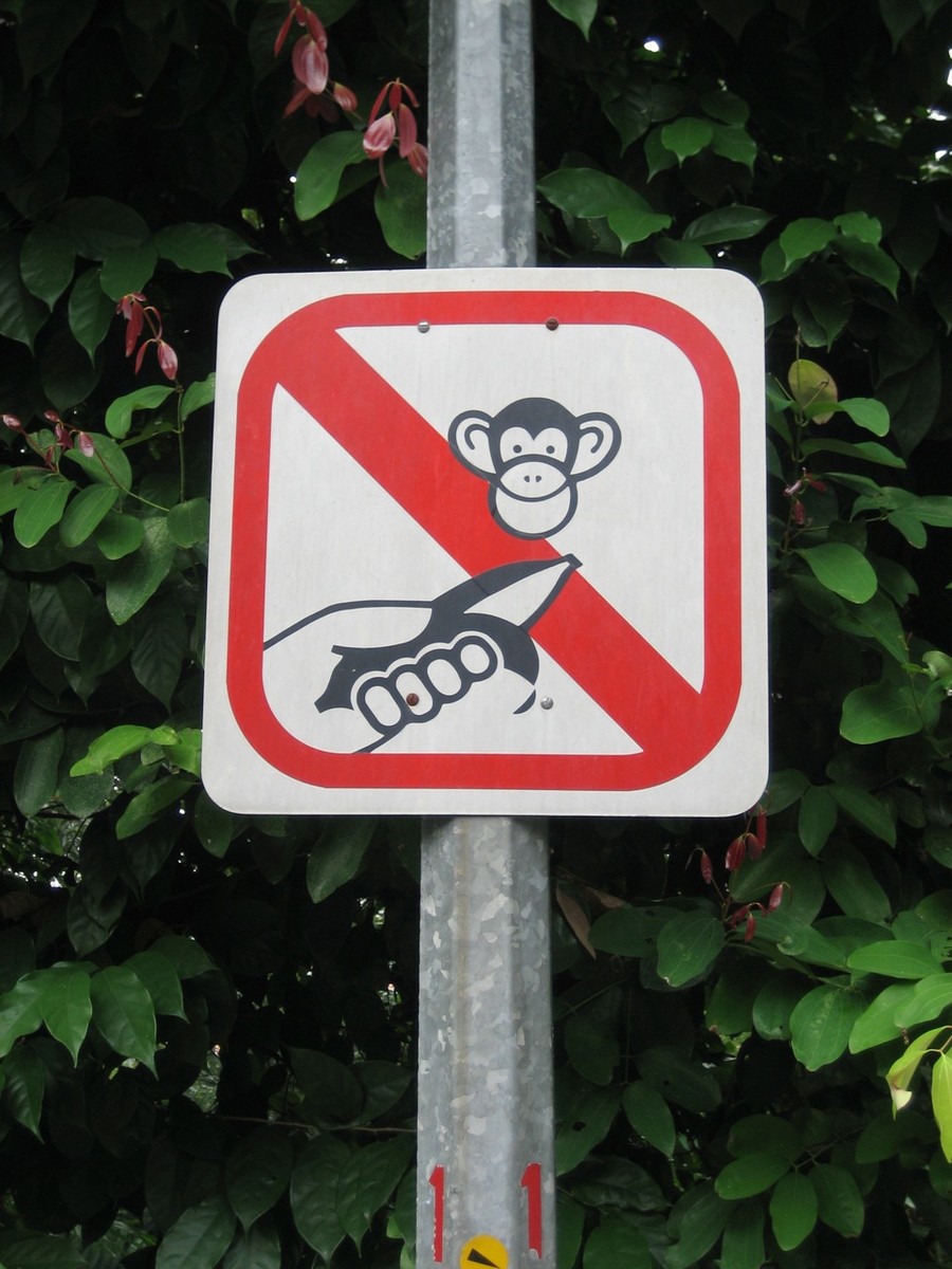 Ideographic street sign in Singapore of a banana being held out to a monkey, with a red slash through it, meaning “do not feed the monkeys”. 🚫🍌🐵
