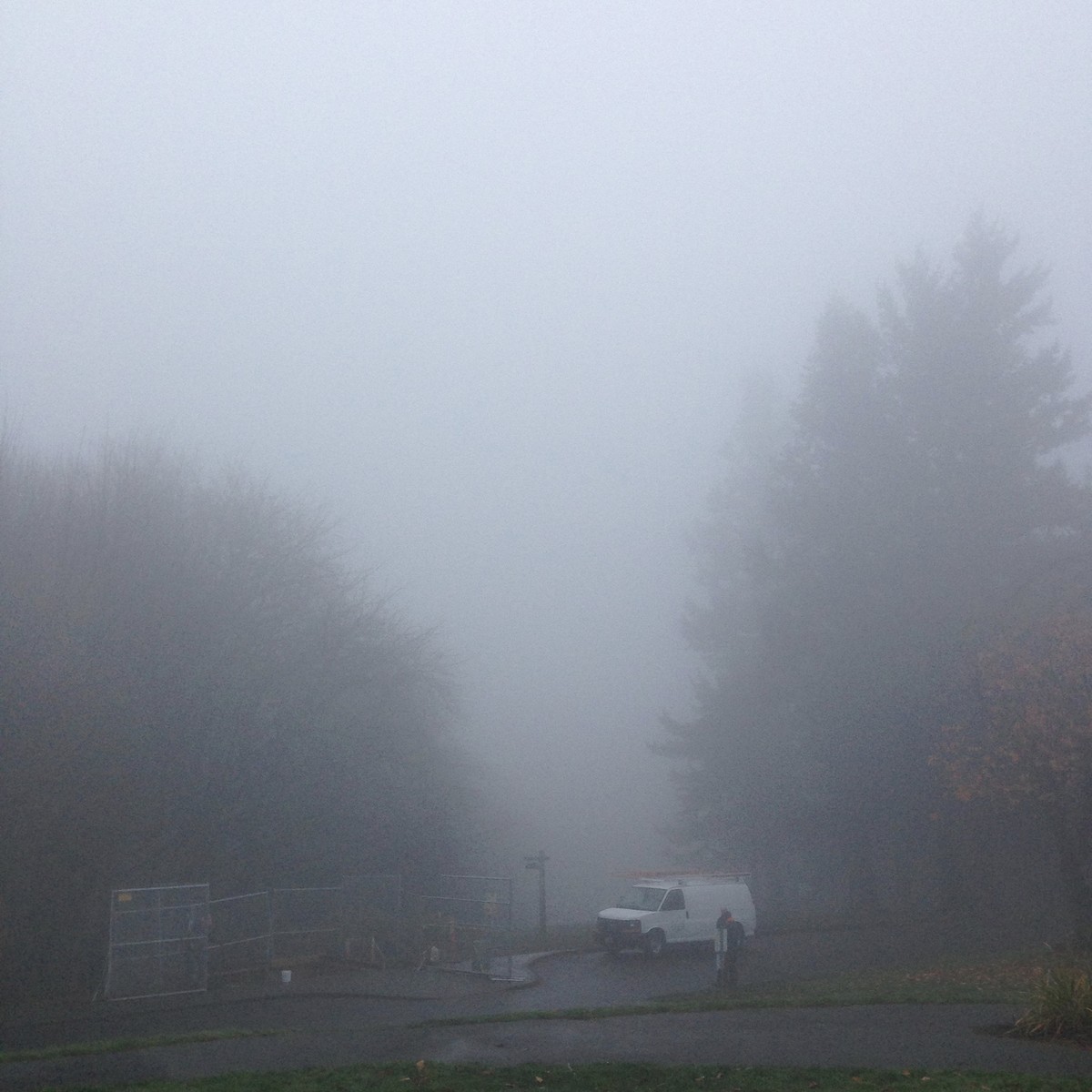 Foggy view to the west from Council Crest park toward Mt. Hood