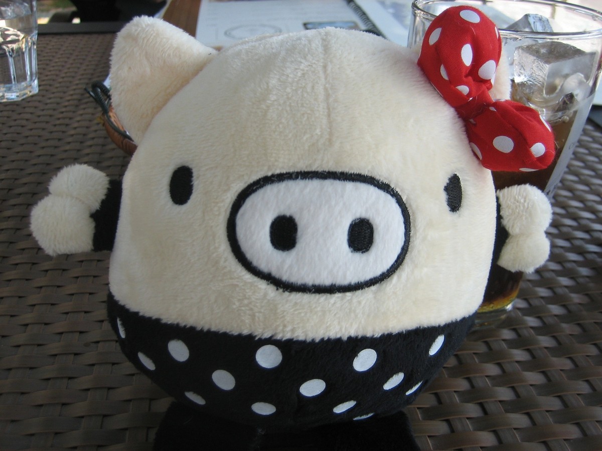 Closeup of a pig stufftie