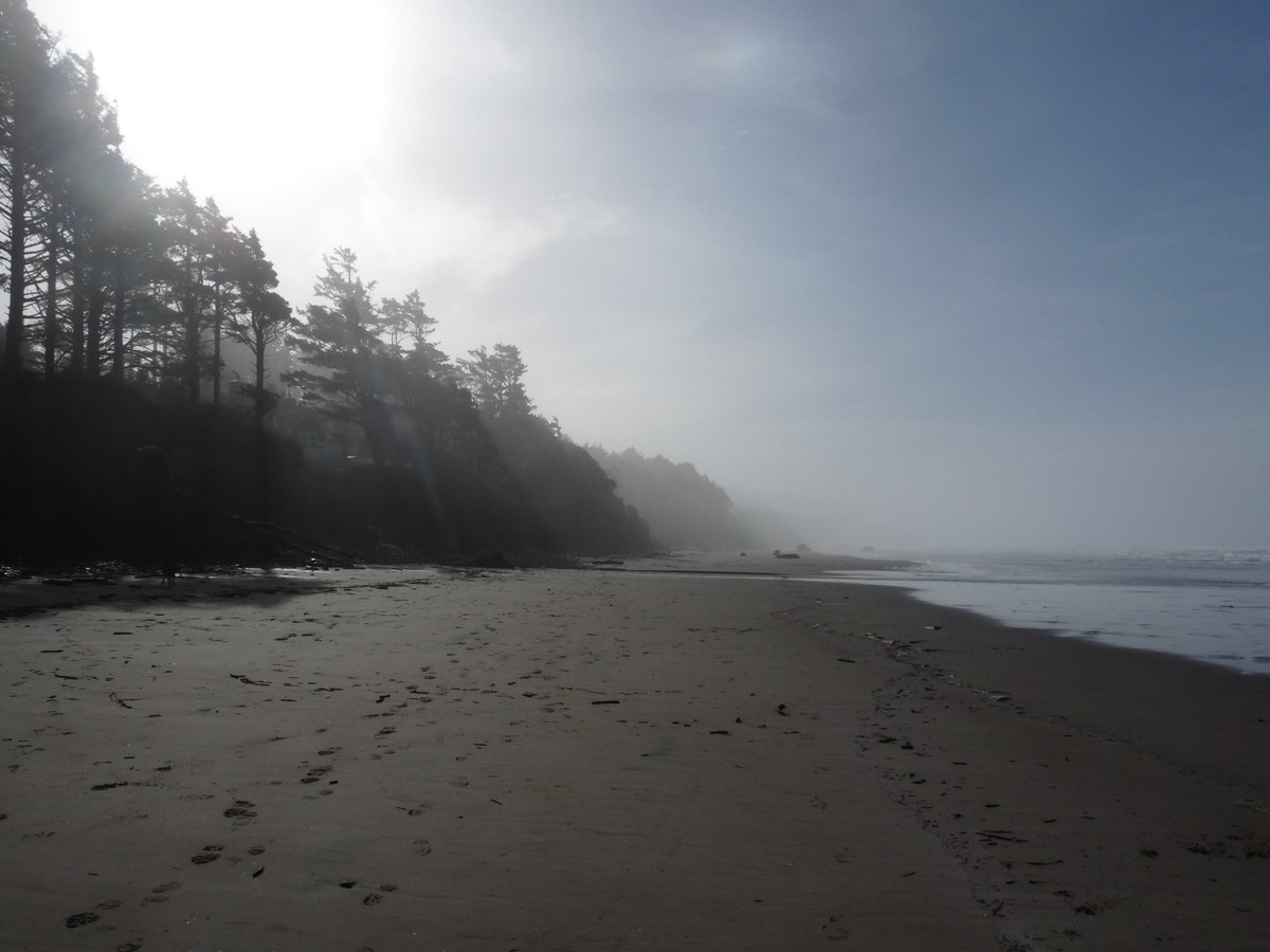 View south along a foggy Oregon beach in the late morning. A narrow strip of sandy beach extends to the horizon, with steep forested headlands marching into the distance. The sky overhead and above the ocean is sunny but fog clings to the forest inland.