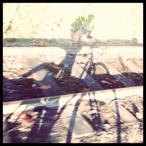 Shadow of bicycle & rider, across railroad tracks, taken by the rider