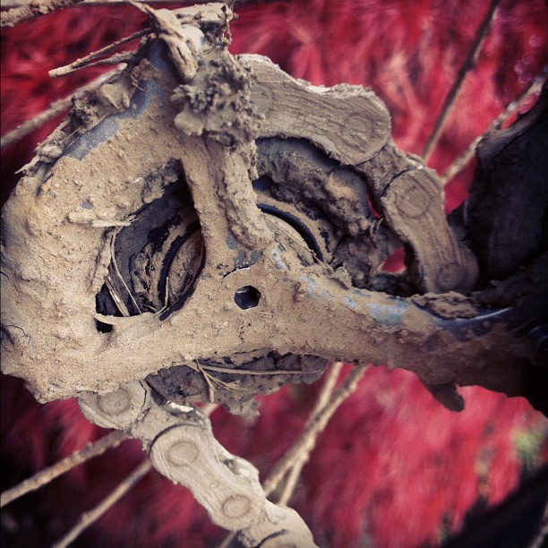 Closeup of an extremely muddy derailleur pulley and chain