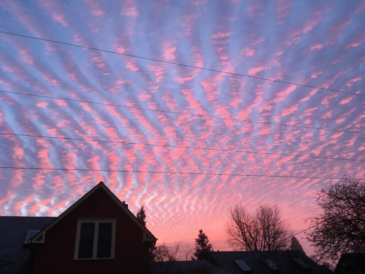 Striated clouds glowing with the sunrise