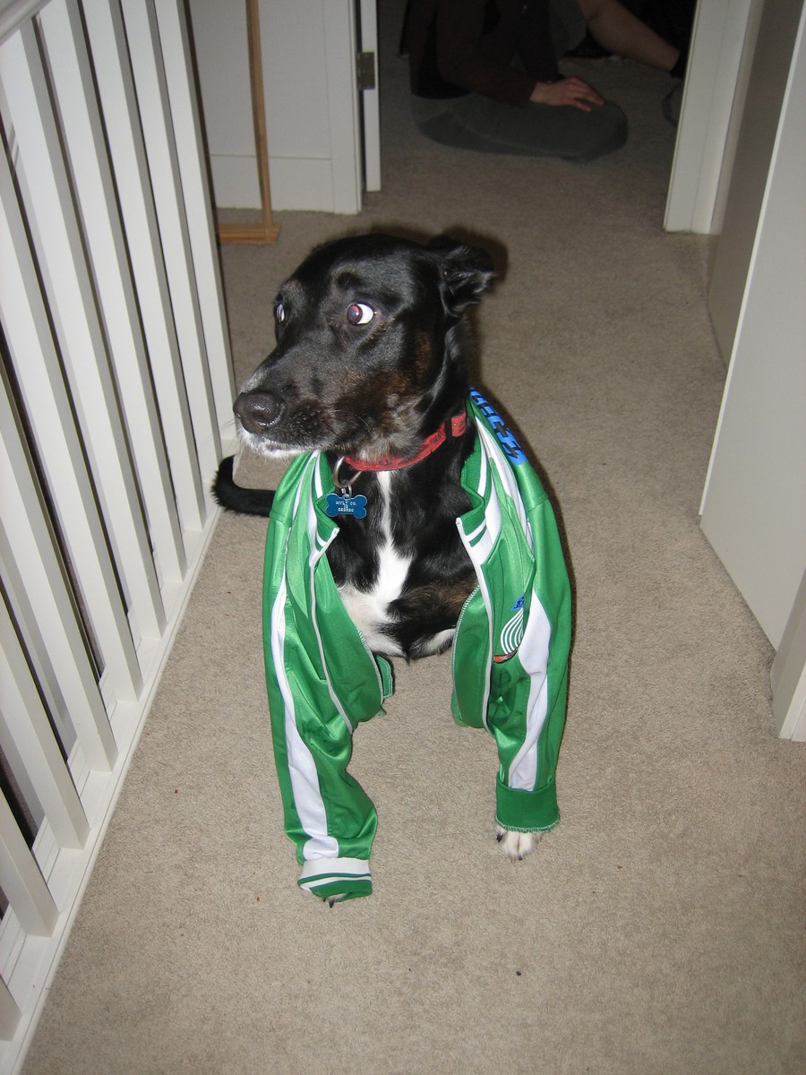 Bismarck modeling my Astro Boy jacket from China