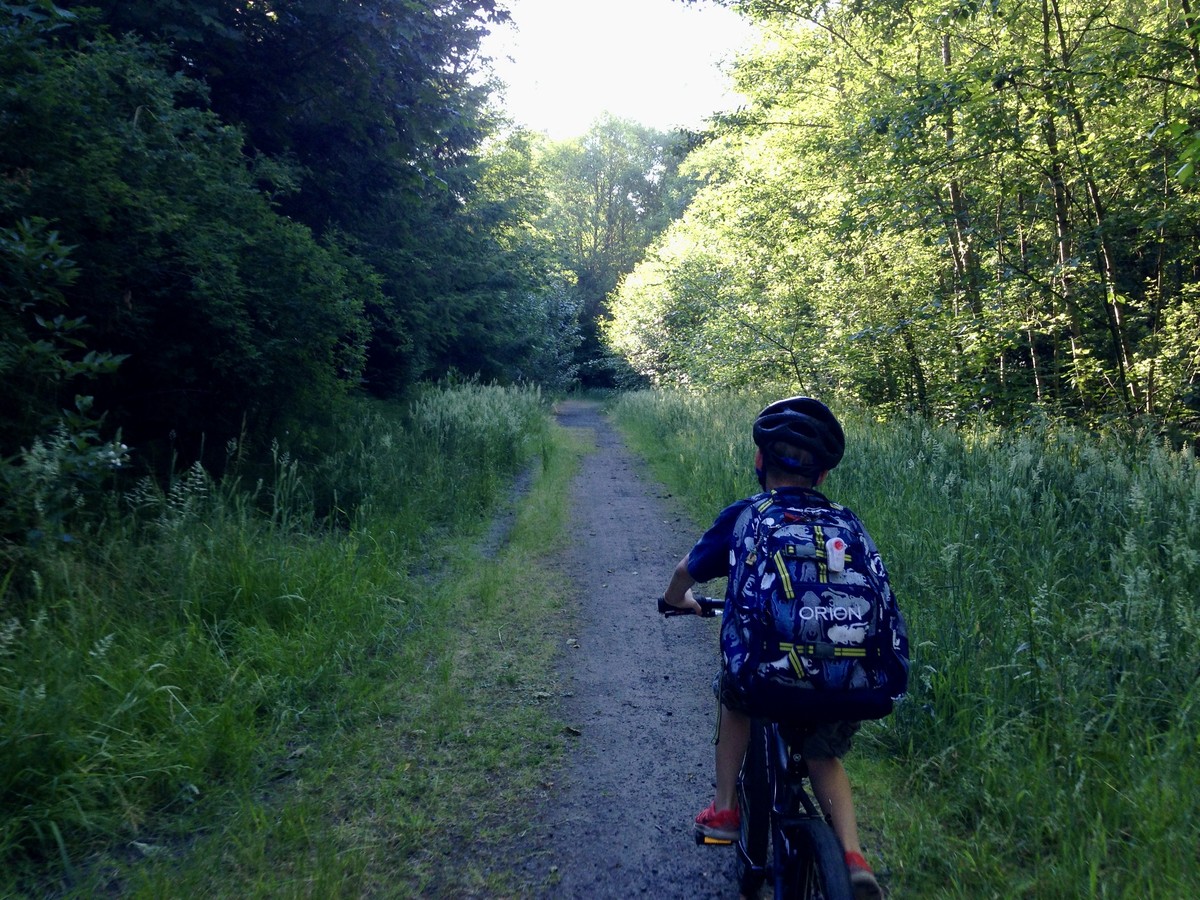 A young boy on a bicycle riding up a narrow, shady wooded path