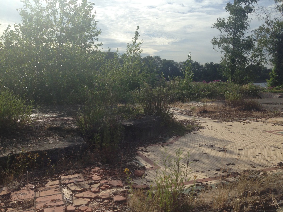 Broken restaurant tile overgrown with weeds
