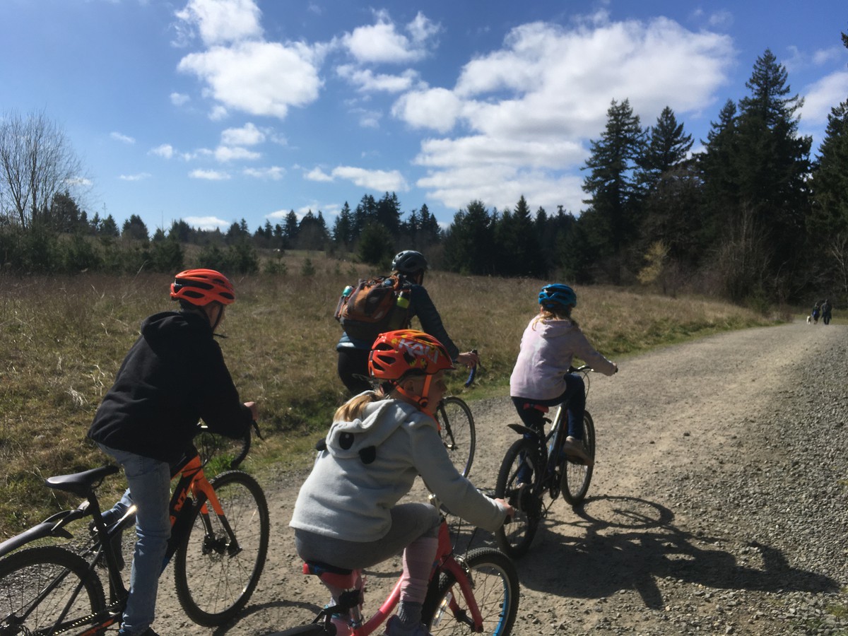 Womand and three kids on bicycle riding up a gravel road through a meadow into a stand of fir trees