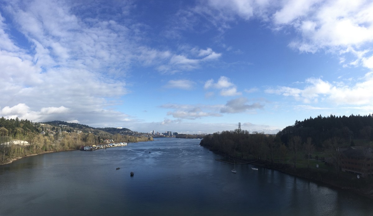 View north from Sellwood Bridge toward downtown