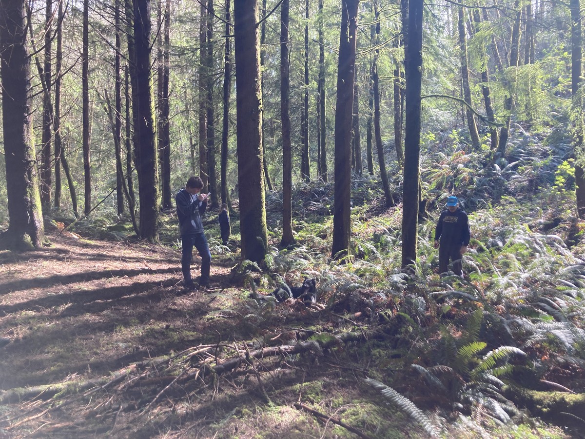 Two people standing in a hemlock forest with a fern brake. One of them is making a sketch