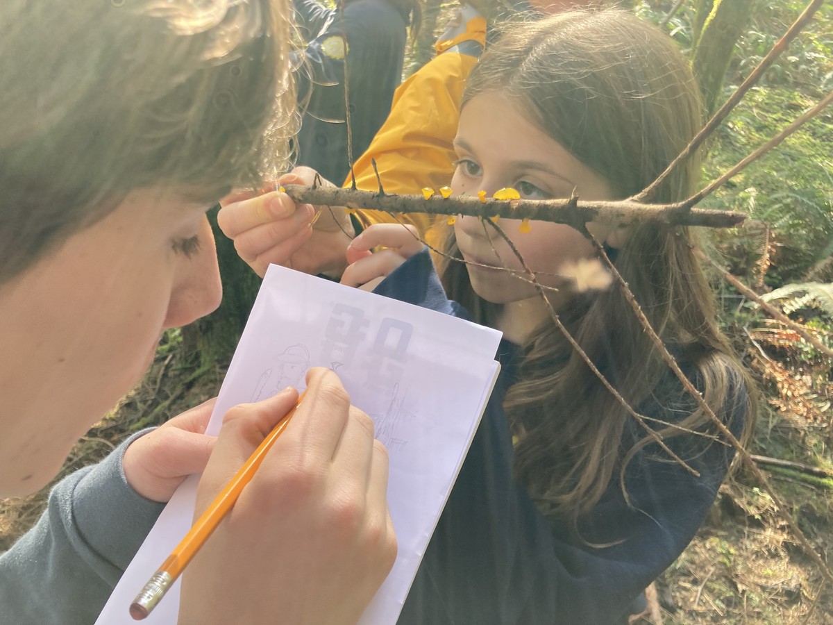 Close up of two young people looking at a stick with bright yellow fungal fruiting bodies popping out of it. One is making a sketch of it