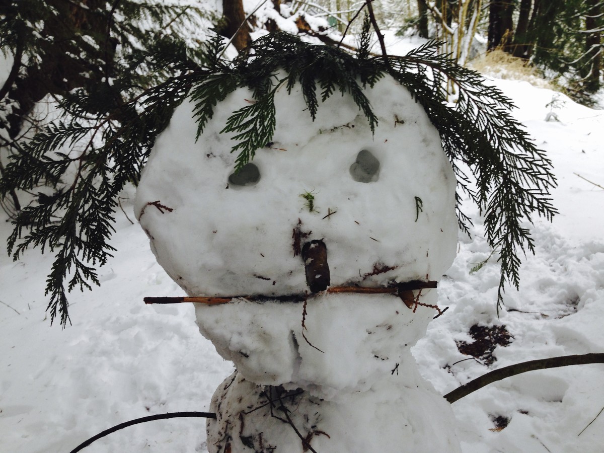 Closeup of a snowwoman face, with cedar foliage for hair and a stick for a mouth