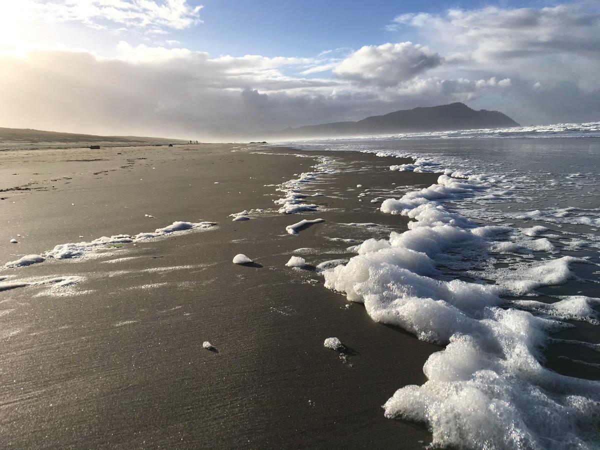 Low perspective shot of seafoam on a beach