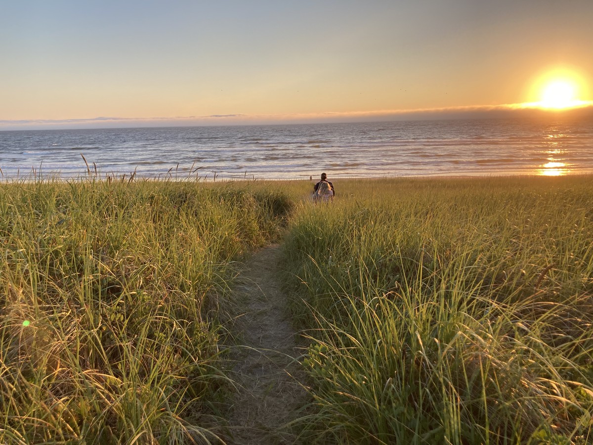 View through dune grass down a sandy path toward a sunset into the Pacific, under a clear July sky. Three people are far ahead of us on the path and beach