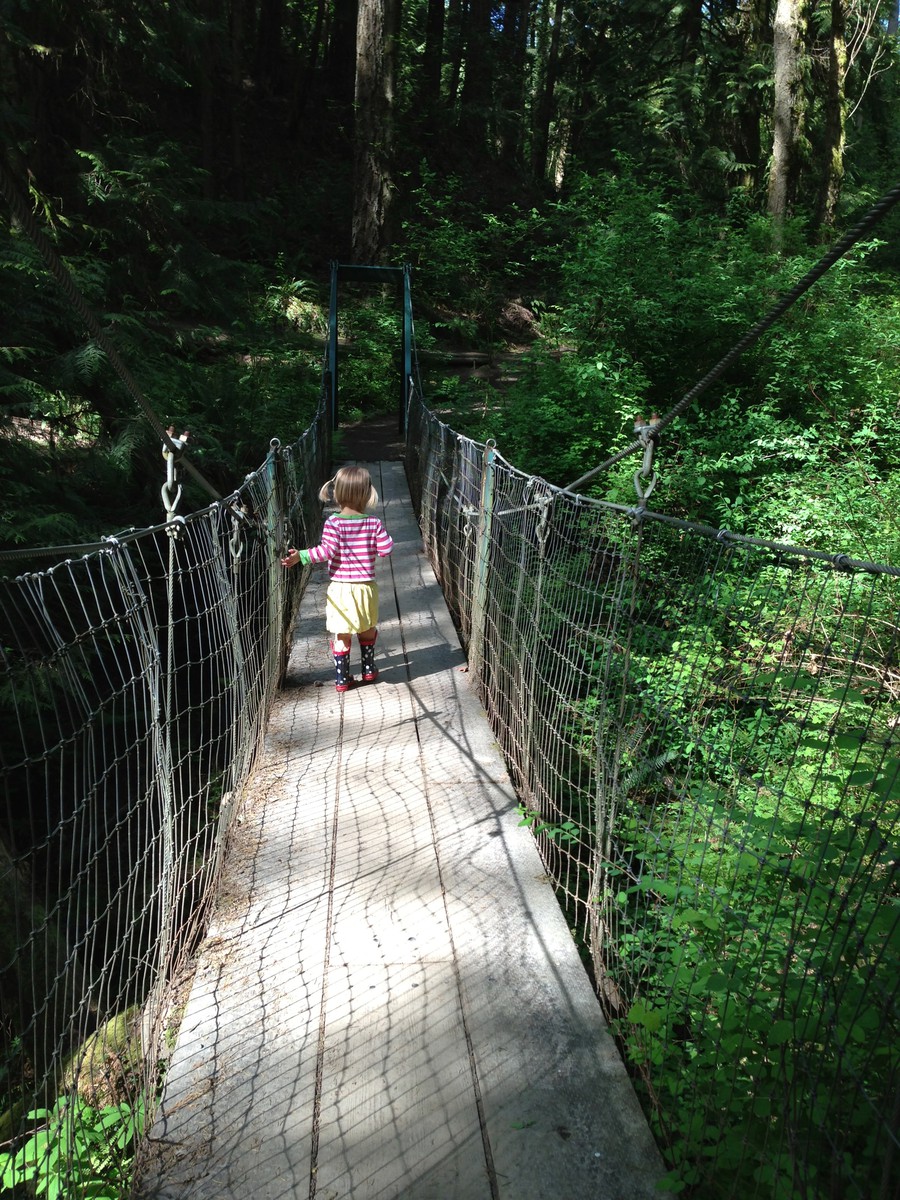 Preschooler on a rickety suspension bridge over a foresty gully, summer, walking away from the camera