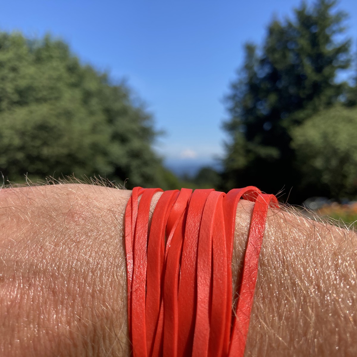 Closeup of a wrist with several red rubber bands