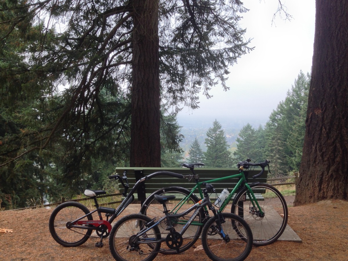 Bikes on Mt. Tabor: a grownup bike with a tagalong, and a kids’ bike