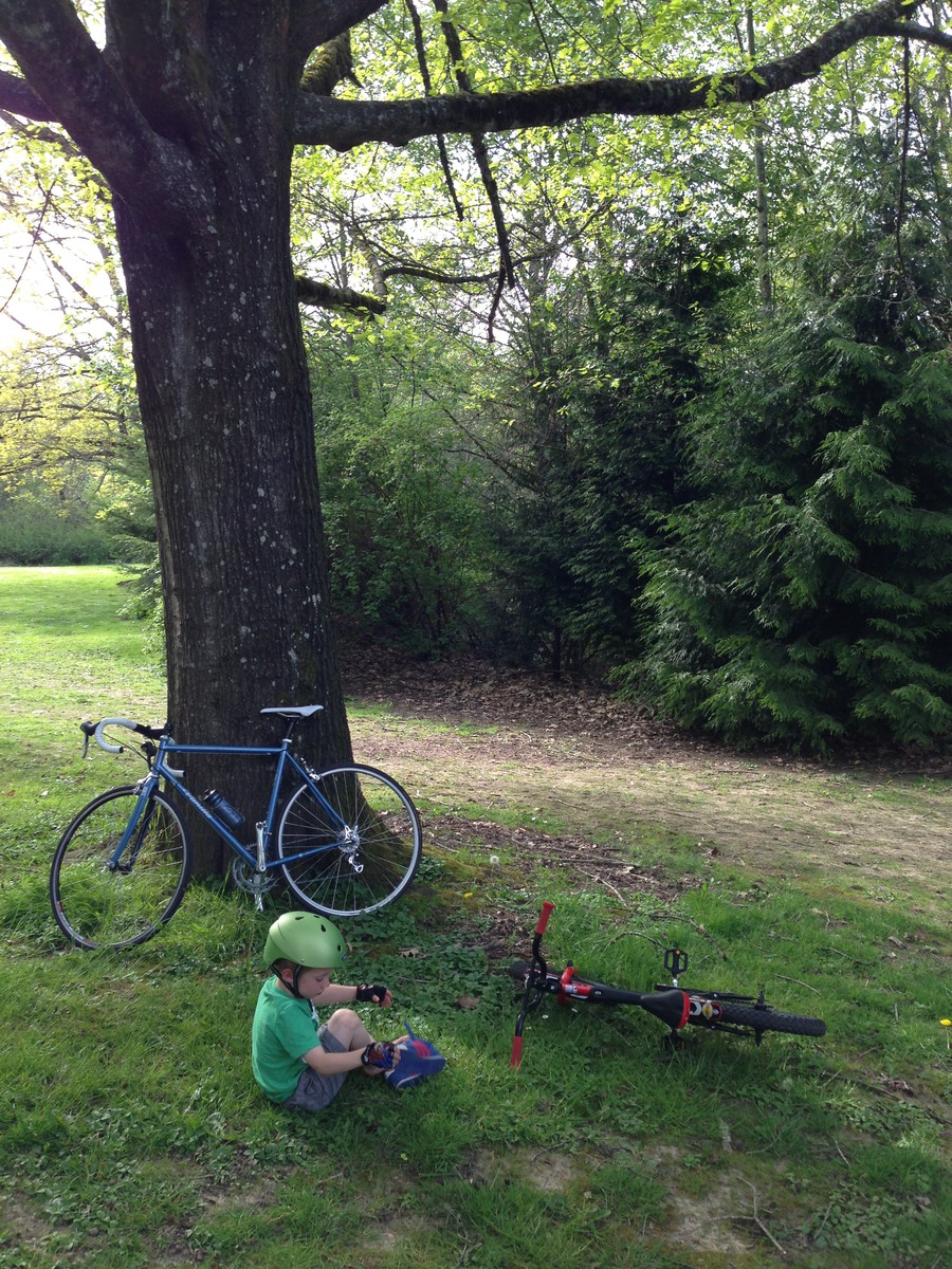 Water break under this old tree in Gabriel Park