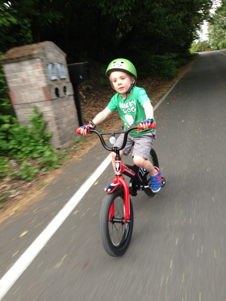 Orion on Palatine Hill Road