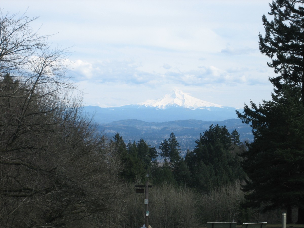 View of Mt. Hood taken from Council Crest Park. Mountain is white with snow, taken in the late winter