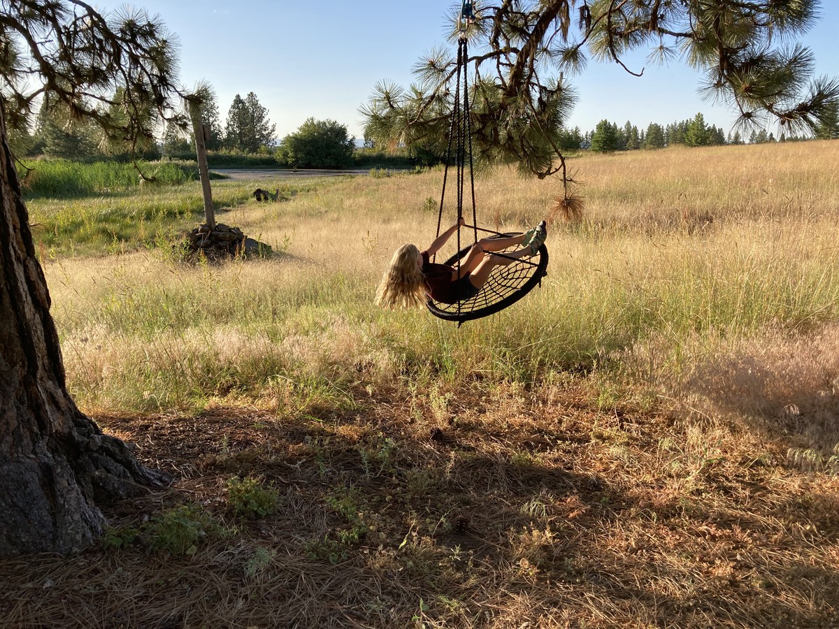Young girl swingly madly on a complex rope swing under a ponderosa pine, with a broad meadow behind her