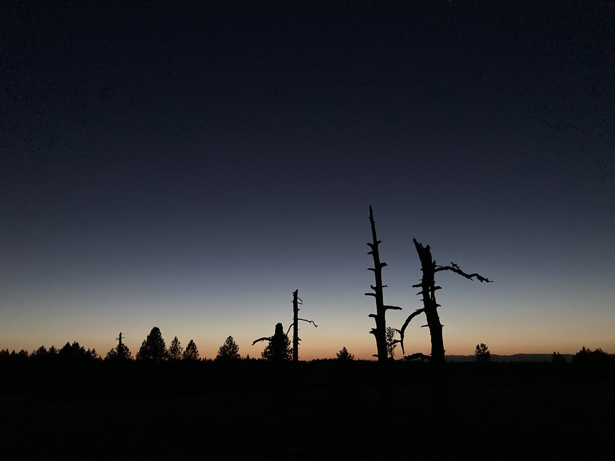 Land/skyscape taken well after sunset but before night. A narrow band of light makes silhouettes of some trees and snags along the horizon
