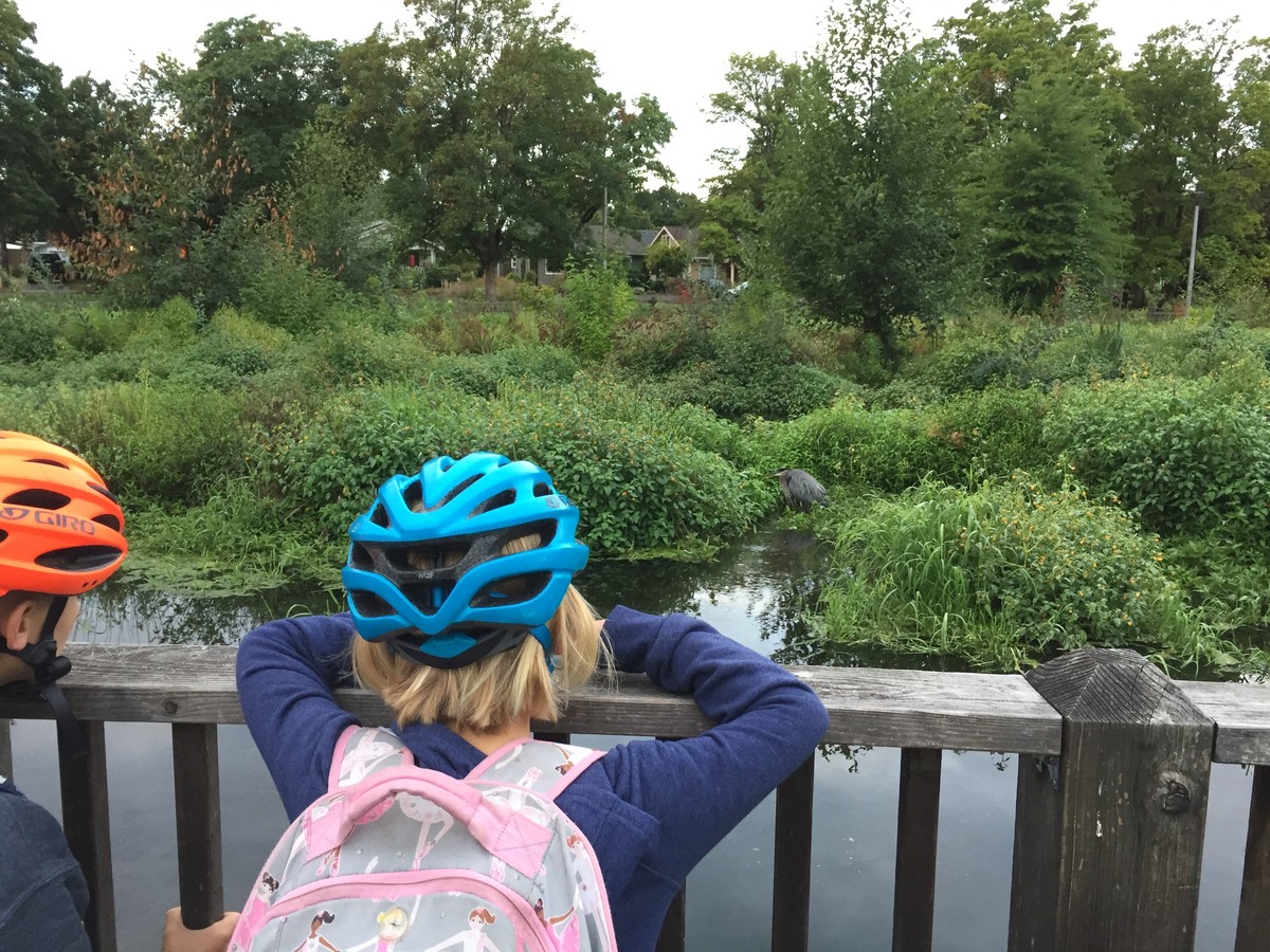Two of my kids in bike helmets, looking over a railing at a great blue heron in a small swamp, with houses in the background