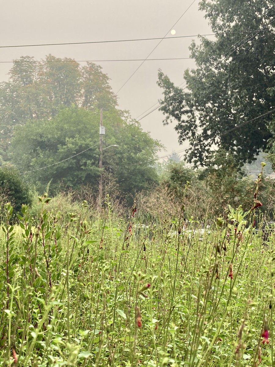 Hazy yellow sky with a dim orange sun