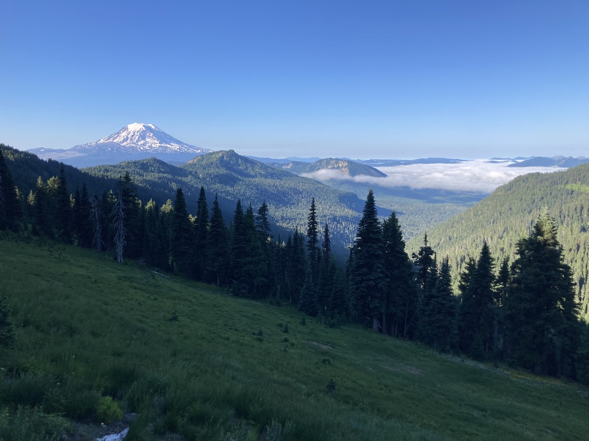 Alpine landscape taken from a hillside in shadow. A stand of tall firs in silhouettte frames the distant view of forested valleys with a retreating layer of low marine clouds under a crisp blue sky. Mt. Adams, snow-clad, glowers on the horizon