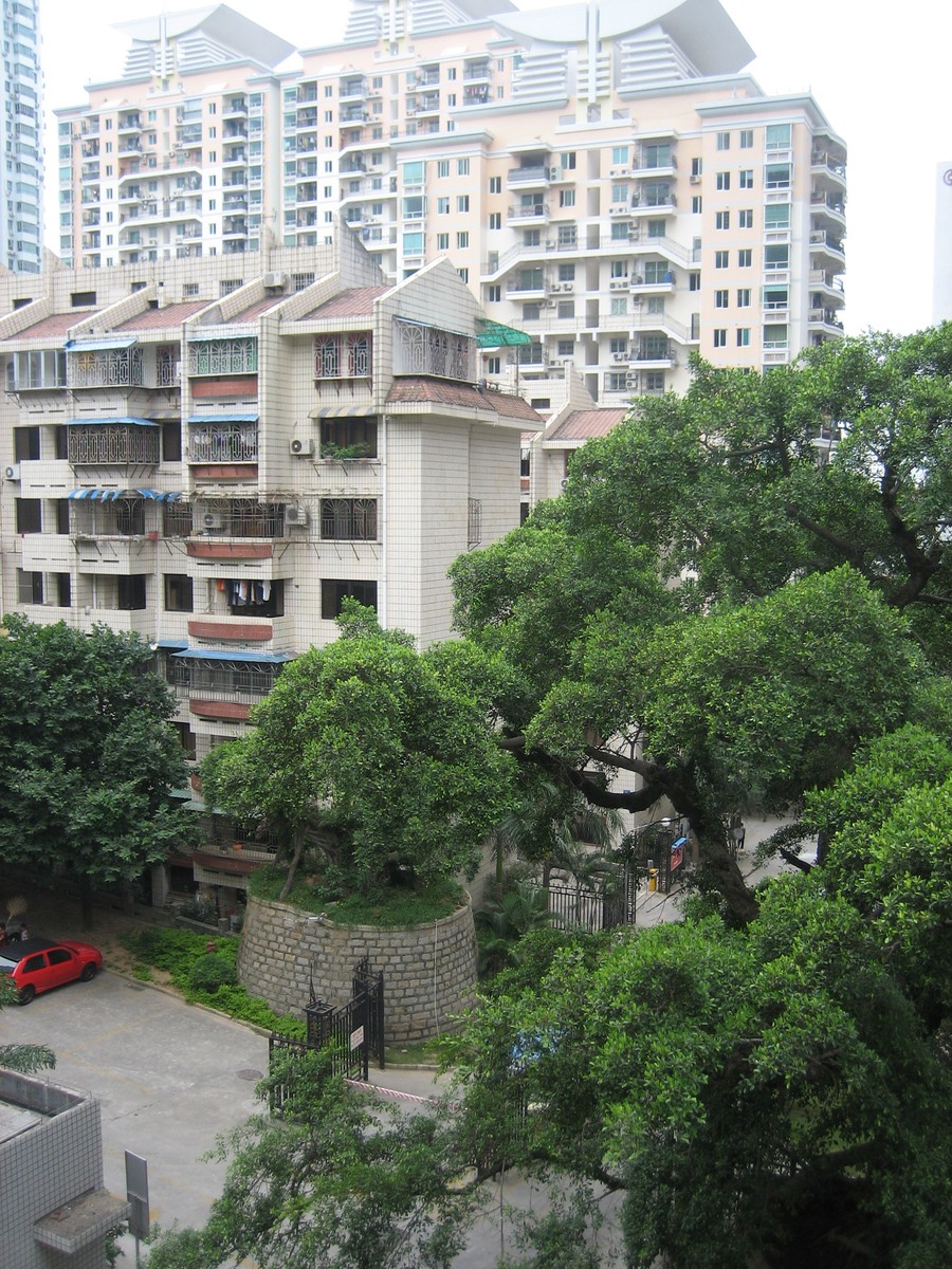 Xiamen apartment view from front balcony (1)