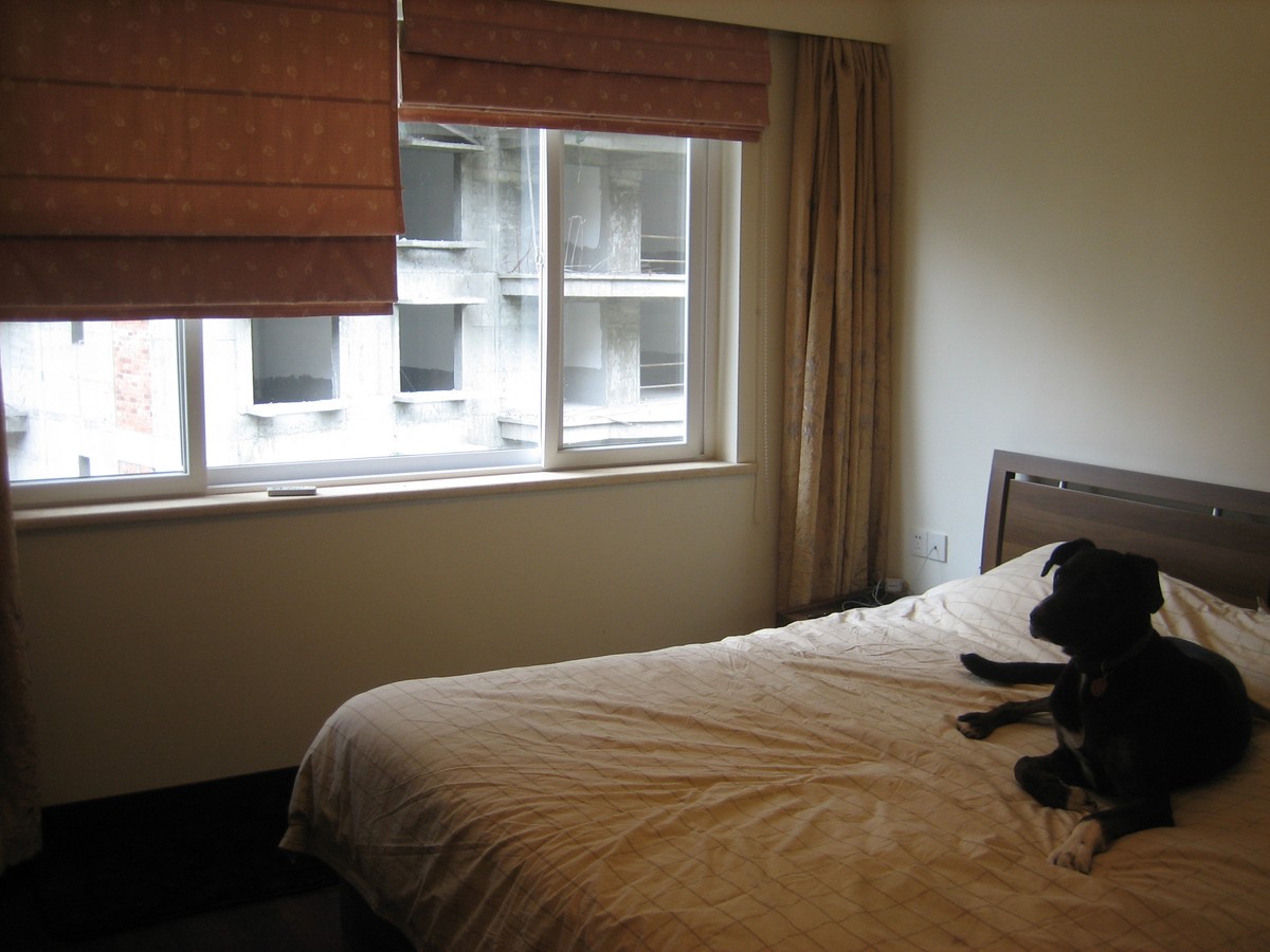 Xiamen apartment main bedroom