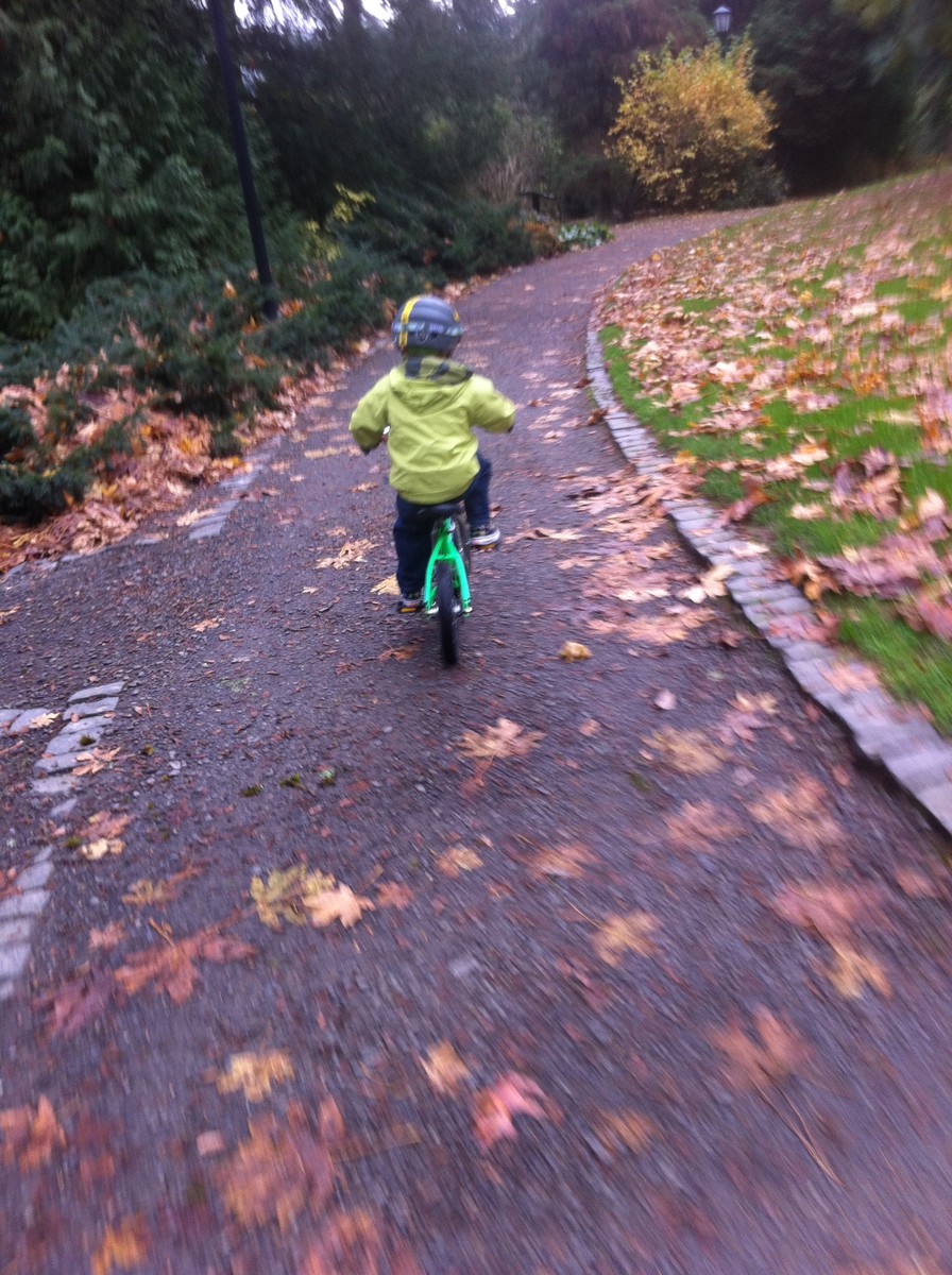 Footpath in Lewis & Clark College