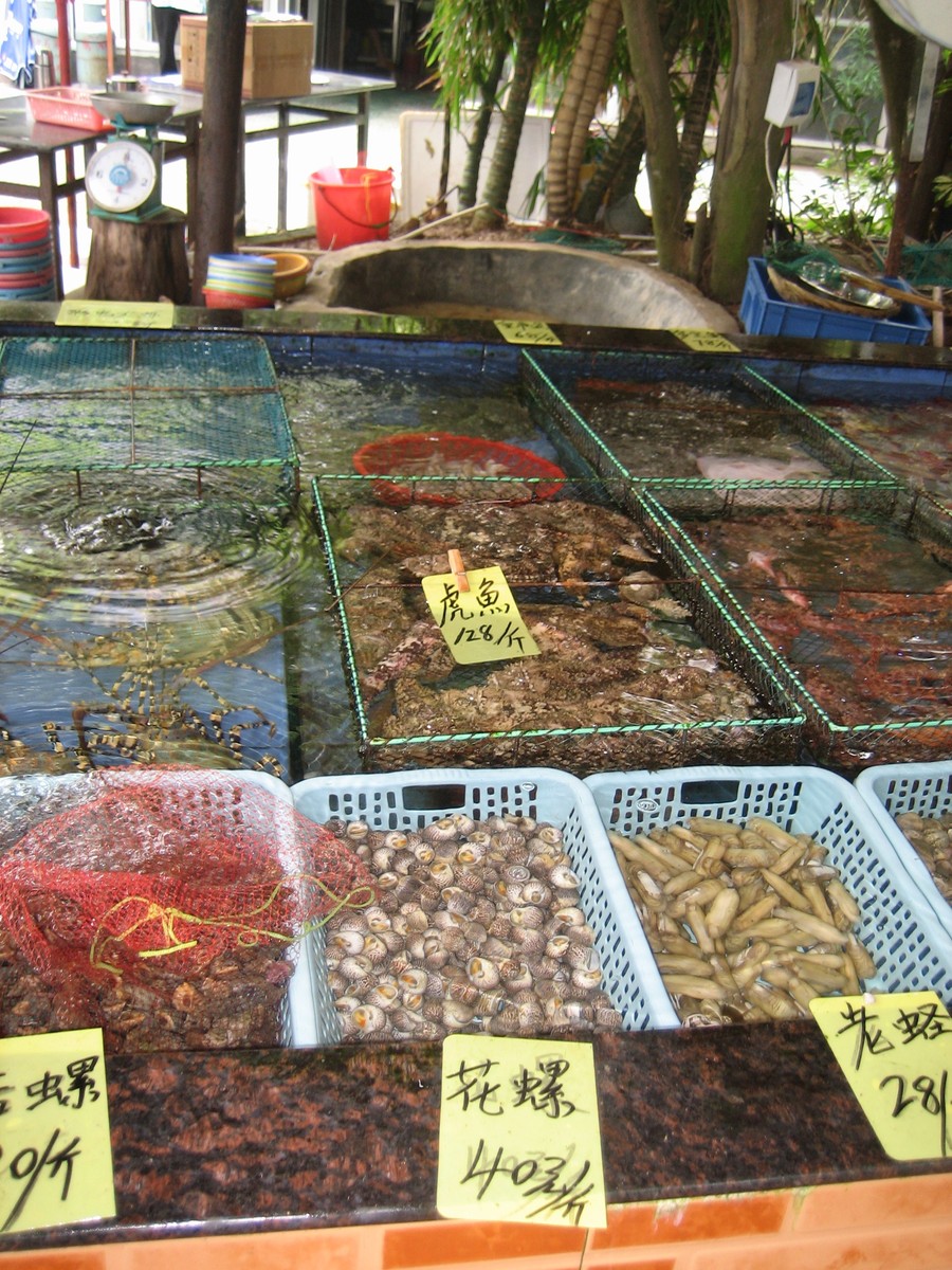 Several small plastic bins of live seafood in a shallow, elevated pool on a table, filled with clear seawater, under a shady awning. Seafood is mainly shellfish: lobsters, crabs, shrimp, several kinds of mollusc