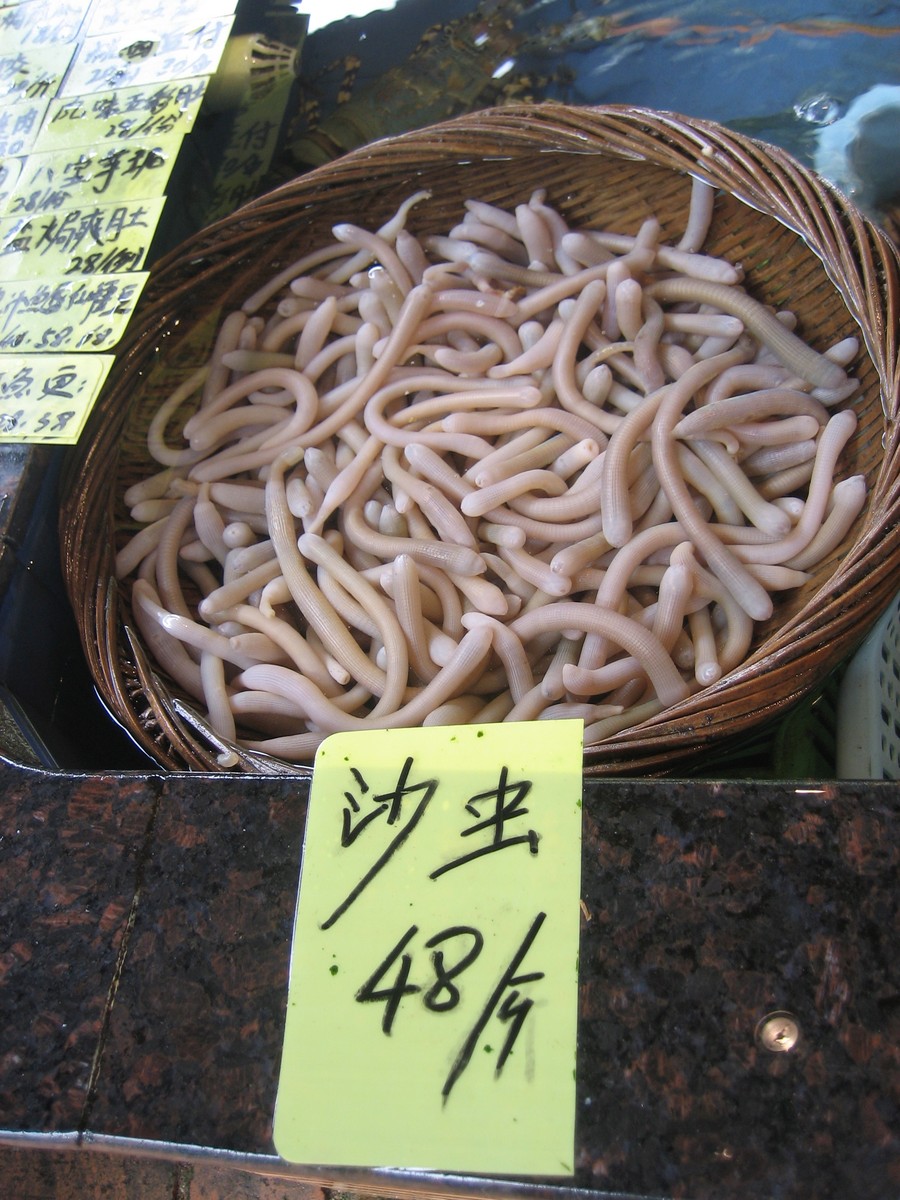Basket of sea worms under running water on display in a restaurant