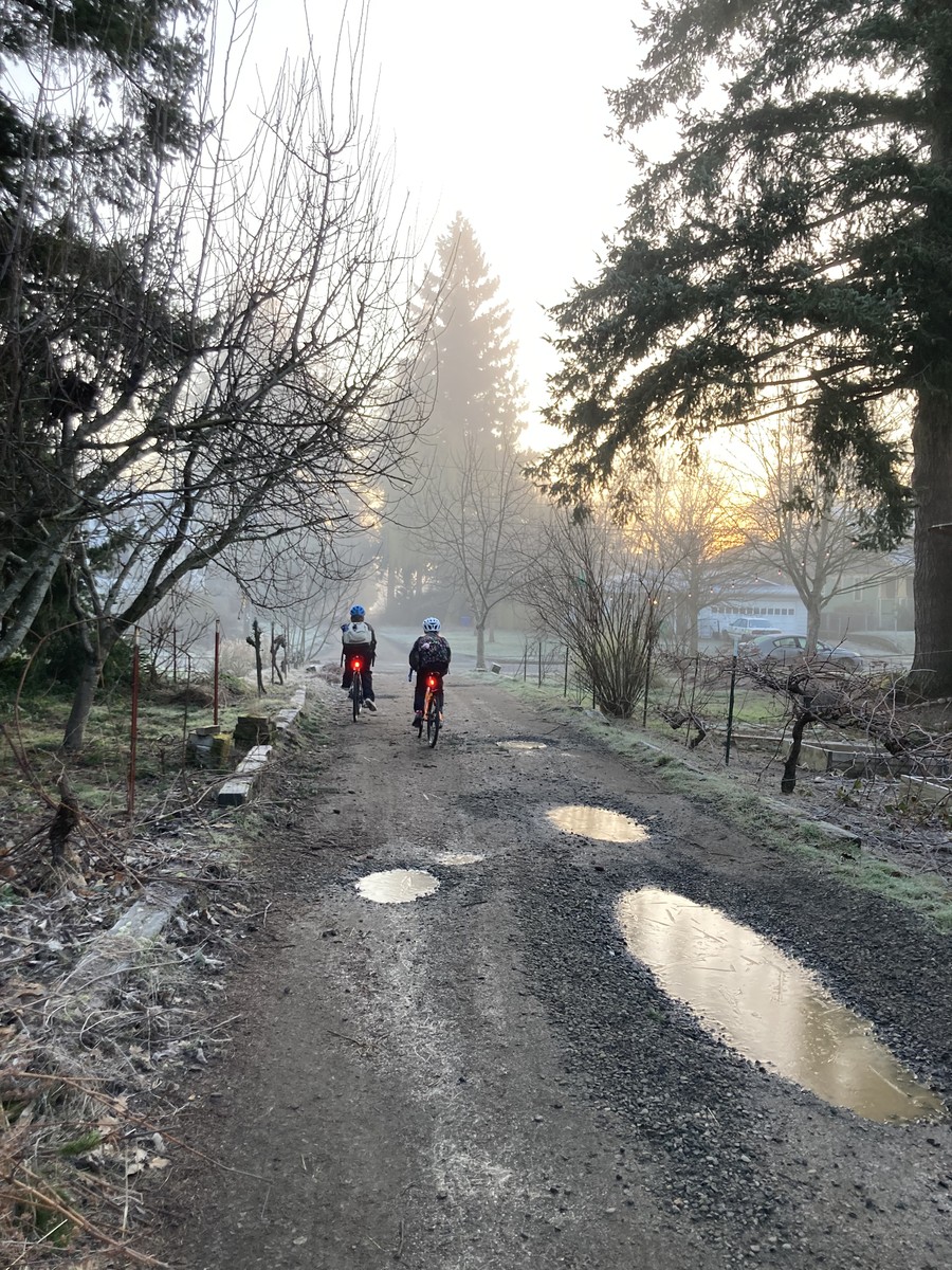 Iris and Ada on a barely-passable unimproved street, on an icy morning