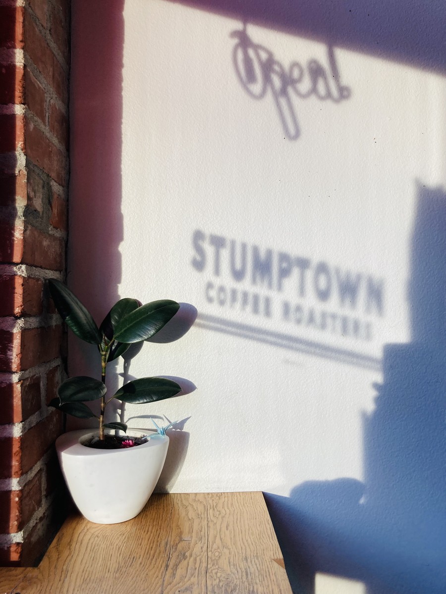 Sunrise shining through the coffee shop window casting shadows of the signage: neon “Open” sign and “Stumptown coffee roasters”