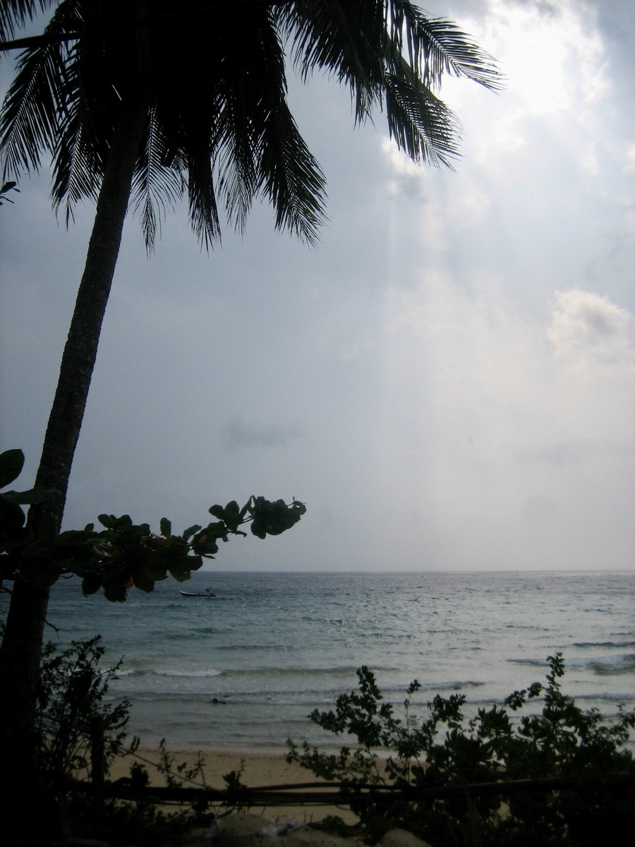 Beams of light falling through humid, post-rain air over a tropical sea. Coconut palm silhouetted in the foreground