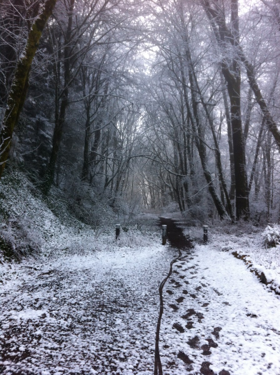 Northwood Drive trail