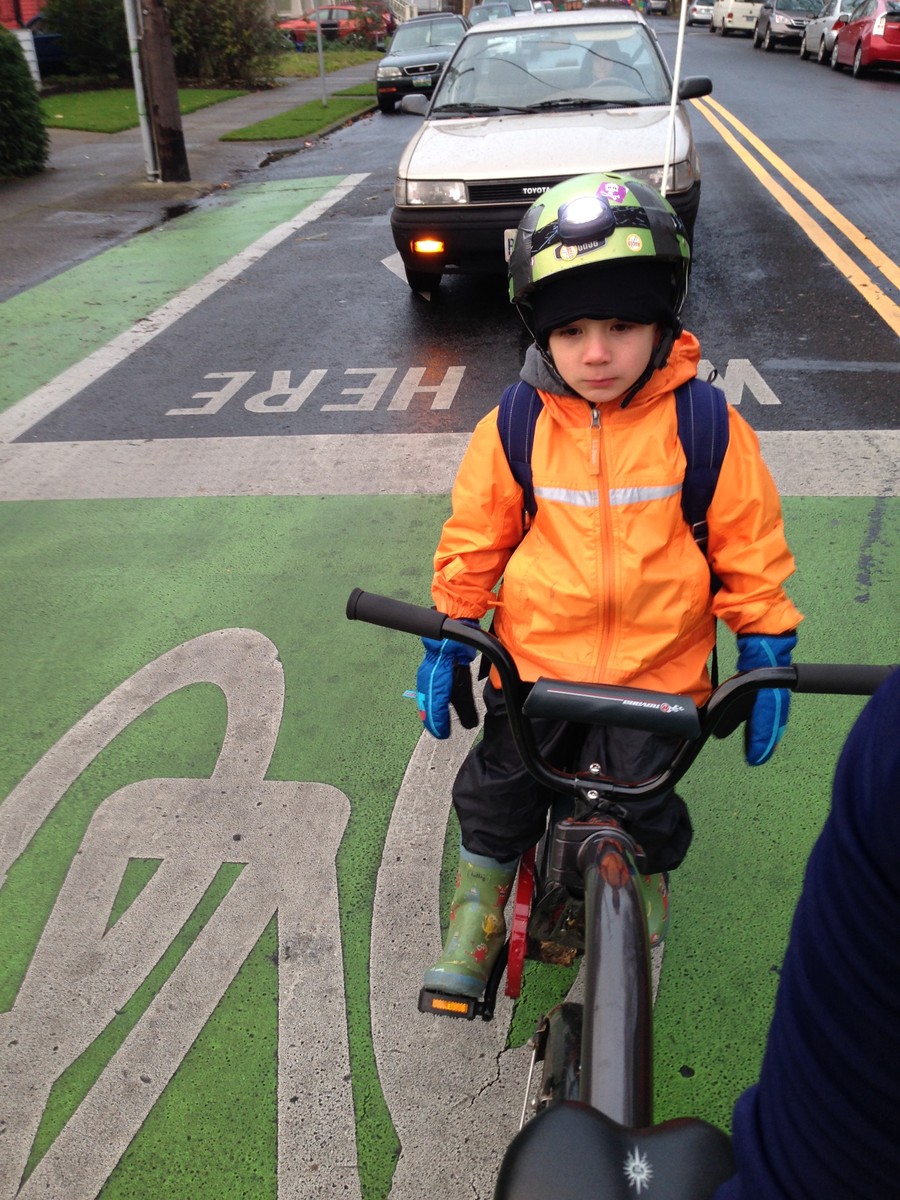 Orion on the tagalong, looking miserable