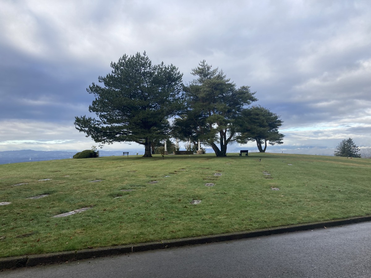 Landscape, hilltop, a small stand of trees in a cemetery. The Tualatin Valley and Chehalem Hills visible on the far horizon. Sky is cloudy but not rainy